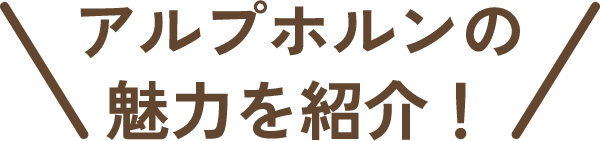 アルプホルンの魅力を紹介